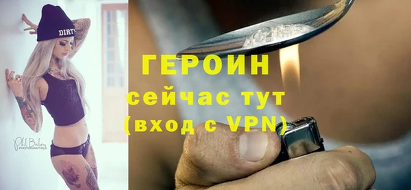 прущие грибы Инта