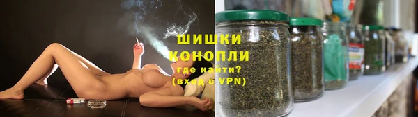 сатива Касимов
