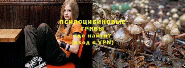 гидропоника Инсар