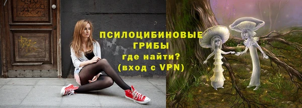 бутират Каменногорск